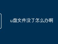 u盘文件没了怎么办啊-路由网