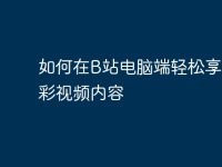 如何在B站电脑端轻松享受精彩视频内容-路由网
