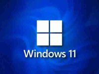 怎么在Windows 11中查看正在运行的进程-路由网