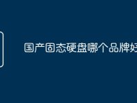 国产固态硬盘哪个品牌好-路由网