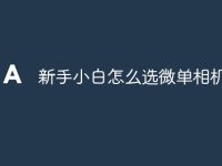 新手小白怎么选微单相机-路由网
