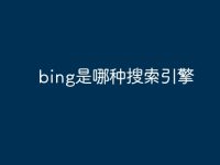 bing是哪种搜索引擎-路由网