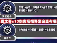 云顶之弈s13伤害增幅异常突变有哪些-路由网