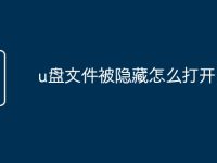 u盘文件被隐藏怎么打开-路由网