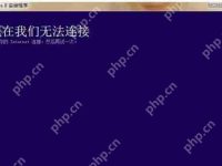 Win8系统安装程序提示“请检查Internet链接”怎么办？-路由网