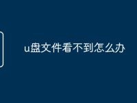 u盘文件看不到怎么办-路由网