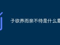 子欲养而亲不待是什么意思-路由网