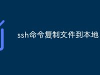 ssh命令复制文件到本地-路由网