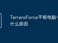 TerransForce平板电脑卡是什么原因-路由网