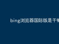 bing浏览器国际版是干嘛的-路由网