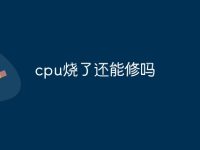 cpu烧了还能修吗-路由网