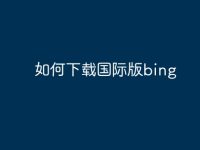 如何下载国际版bing-路由网