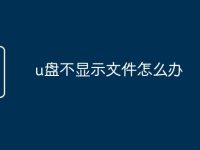u盘不显示文件怎么办-路由网
