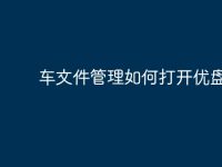 车文件管理如何打开优盘？-路由网