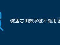 键盘右侧数字键不能用怎么办-路由网