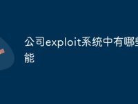 公司exploit系统中有哪些功能-路由网