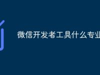 微信开发者工具什么专业-路由网