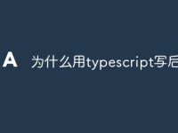 为什么用typescript写后端-路由网
