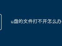 u盘的文件打不开怎么办-路由网
