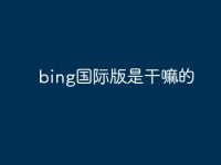 bing国际版是干嘛的-路由网