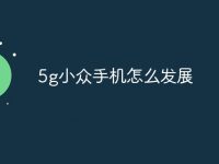 5g小众手机怎么发展-路由网