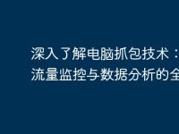 深入了解电脑抓包技术：实现流量监控与数据分析的全攻略-路由网