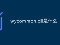 wycommon.dll是什么-路由网