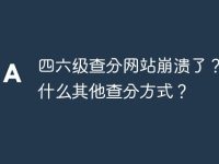 四六级查分网站崩溃了? 有什么其他查分方式?-路由网