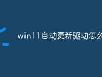 win11自动更新驱动怎么关闭-路由网
