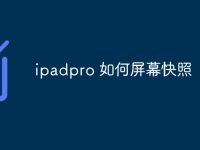 ipadpro 如何屏幕快照-路由网
