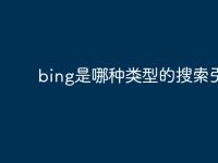 bing是哪种类型的搜索引擎-路由网