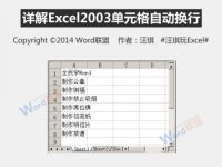 Excel2003单元格自动换行的方法-路由网