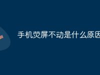 手机荧屏不动是什么原因-路由网