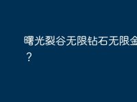 曙光裂谷无限钻石无限金币版?-路由网