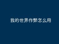 我的世界作弊怎么用-路由网