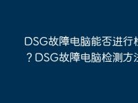 DSG故障电脑能否进行检测?DSG故障电脑检测方法-路由网