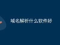 域名解析什么软件好-路由网