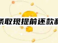 白条取现提前还款还收利息吗?有两种计算方式!轻松看懂-路由网