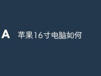 苹果16寸电脑如何-路由网