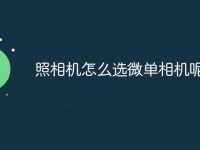 照相机怎么选微单相机呢-路由网