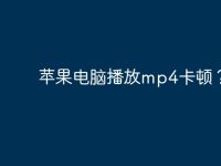 苹果电脑播放mp4卡顿?-路由网