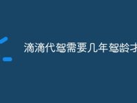 滴滴代驾需要几年驾龄才可以-路由网