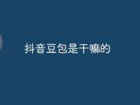 抖音豆包是干嘛的-路由网