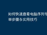 如何快速查看电脑序列号：简单步骤与实用技巧-路由网