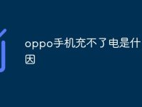 oppo手机充不了电是什么原因-路由网