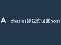 charles抓包时设置host-路由网