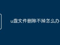 u盘文件删除不掉怎么办-路由网