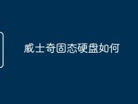 威士奇固态硬盘如何-路由网