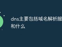 dns主要包括域名解析服务器和什么-路由网