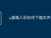 u盘插入后如何下载文件-路由网